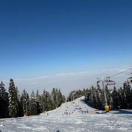 Mountain Sequoia Боровец