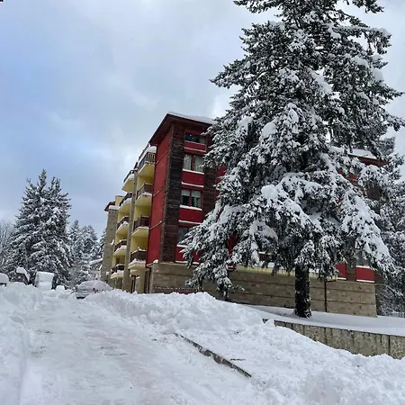 Mountain Sequoia Apartman *