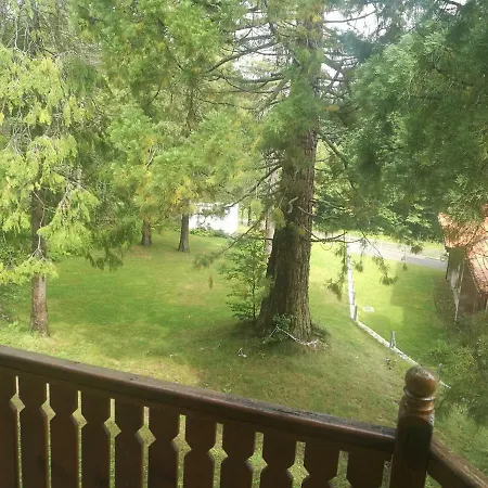 Mountain Sequoia * Боровец