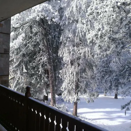 Mountain Sequoia Apartman