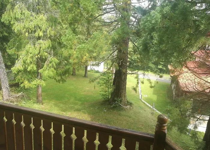 Mountain Sequoia * Borovets