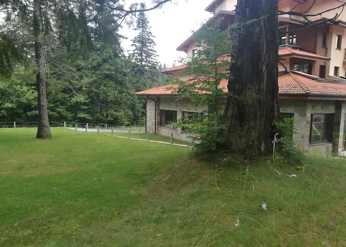 Mountain Sequoia Borovets